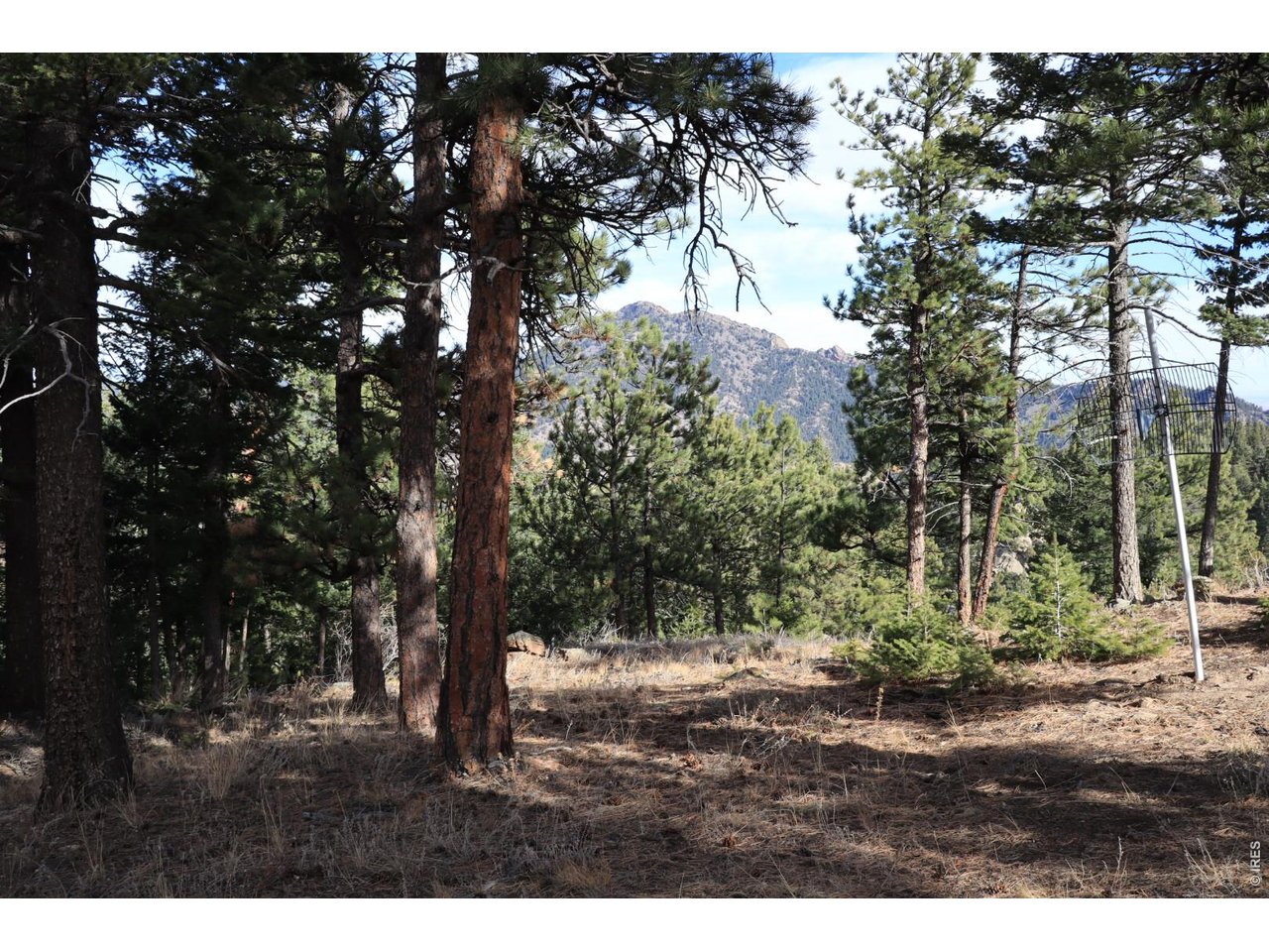 1312 Chute Road Golden, CO 80403 - Photo 3 of 35