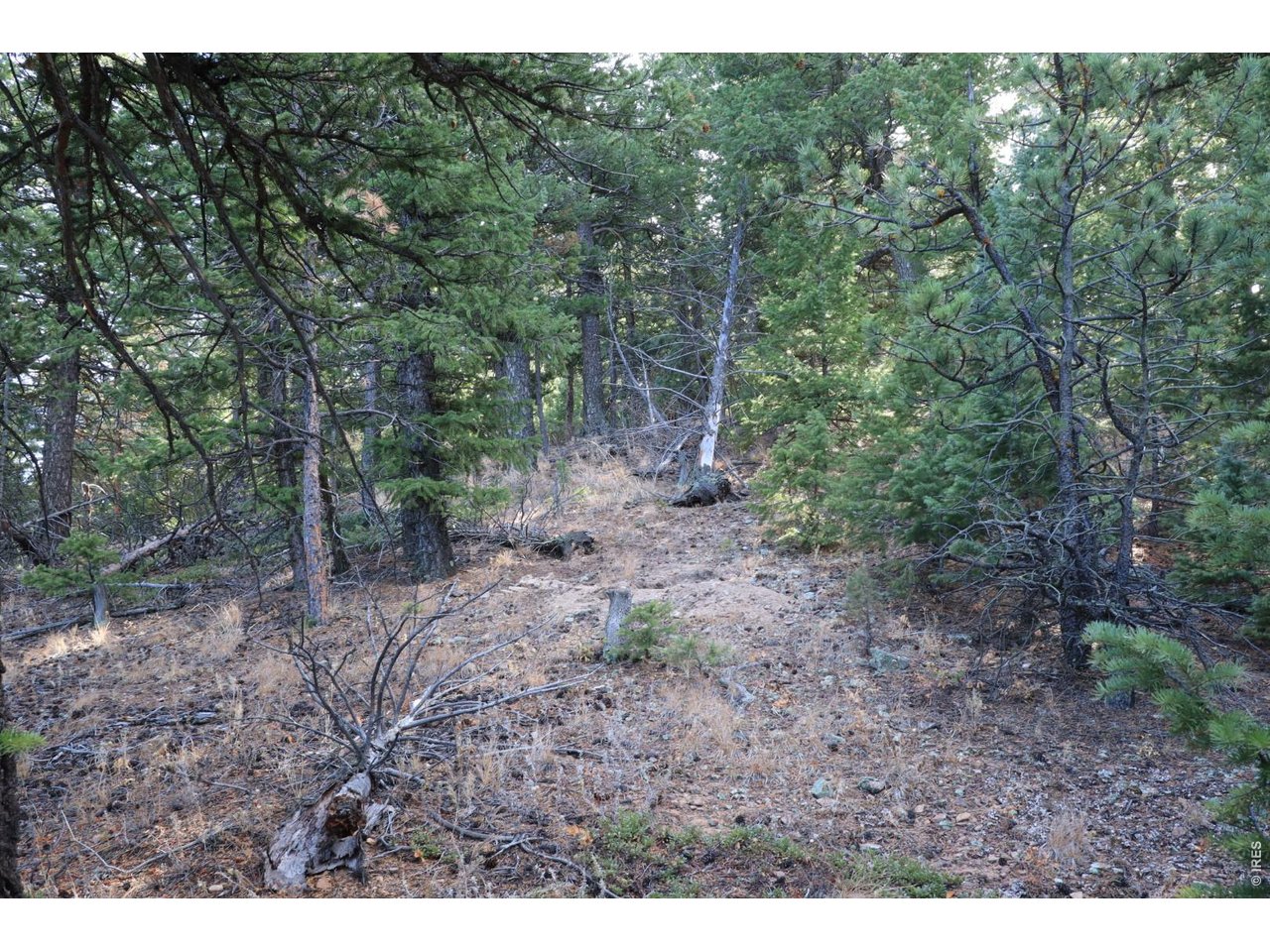 1312 Chute Road Golden, CO 80403 - Photo 4 of 35