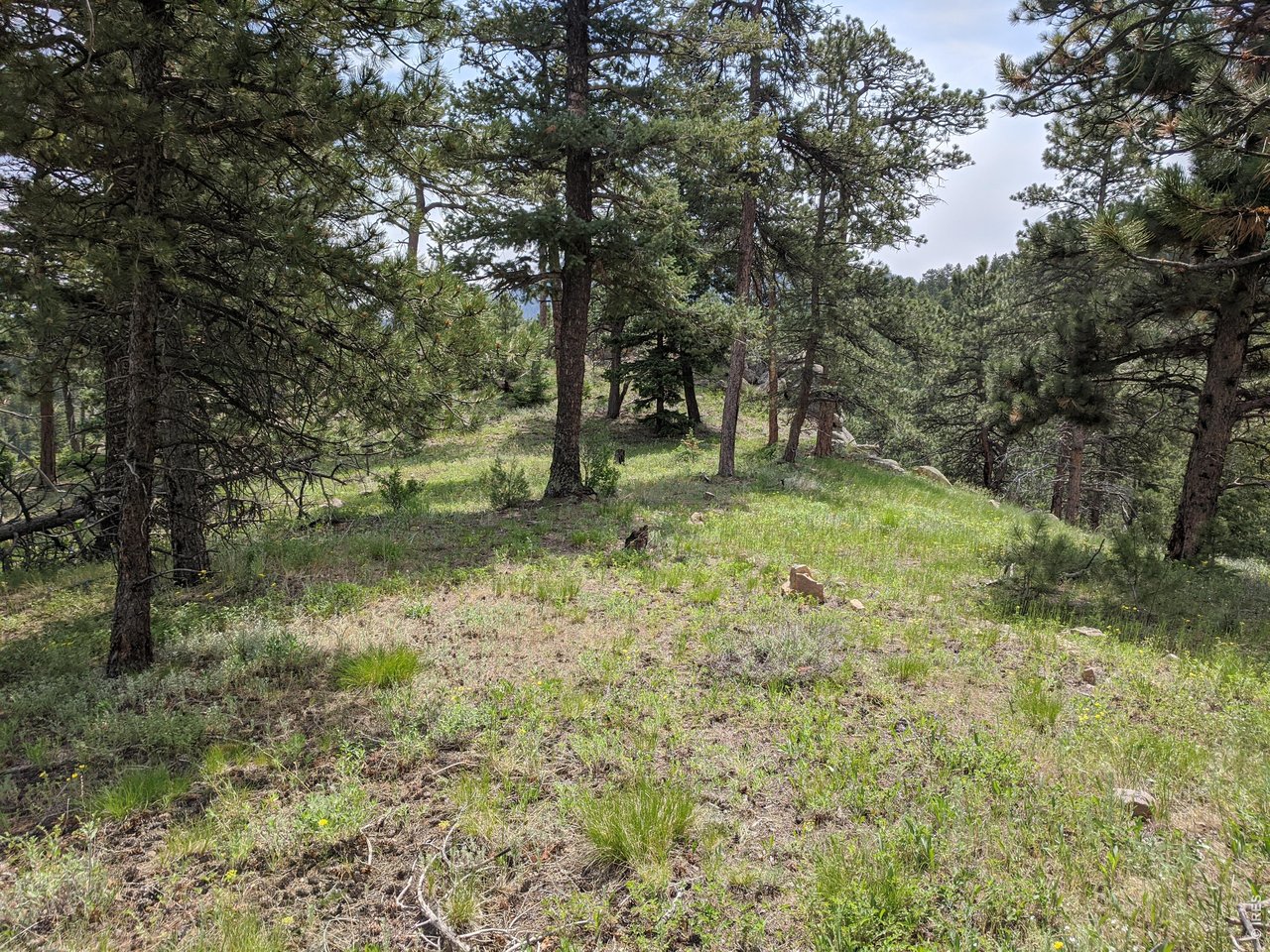 1312 Chute Road Golden, CO 80403 - Photo 6 of 35