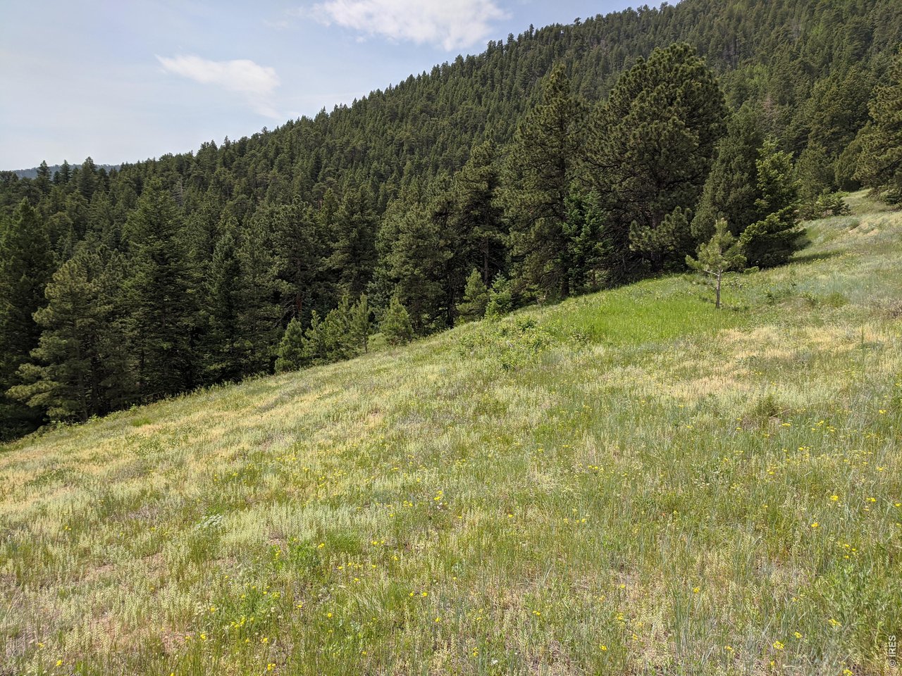 1312 Chute Road Golden, CO 80403 - Photo 8 of 35