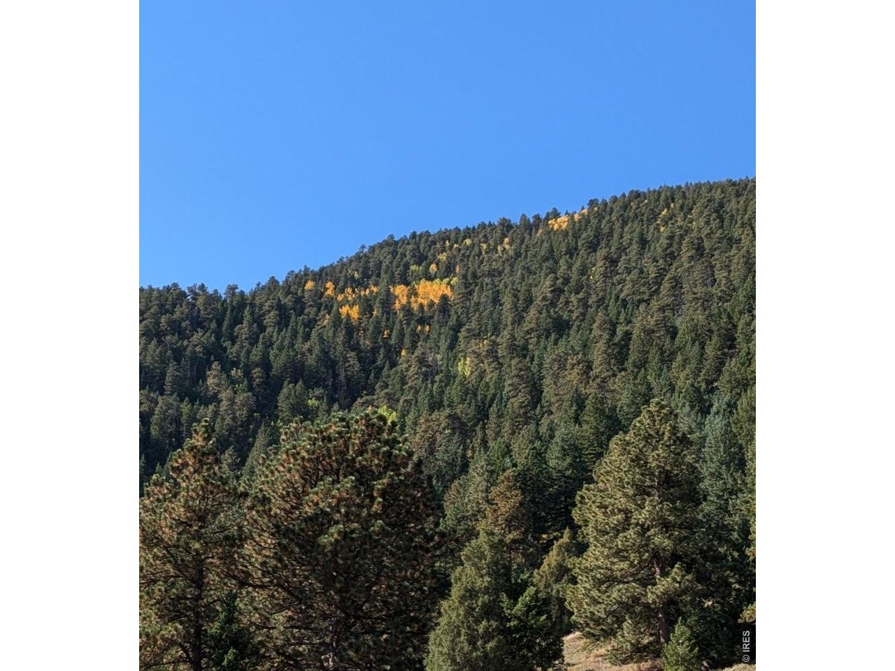 1312 Chute Road Golden, CO 80403 - Photo 9 of 35