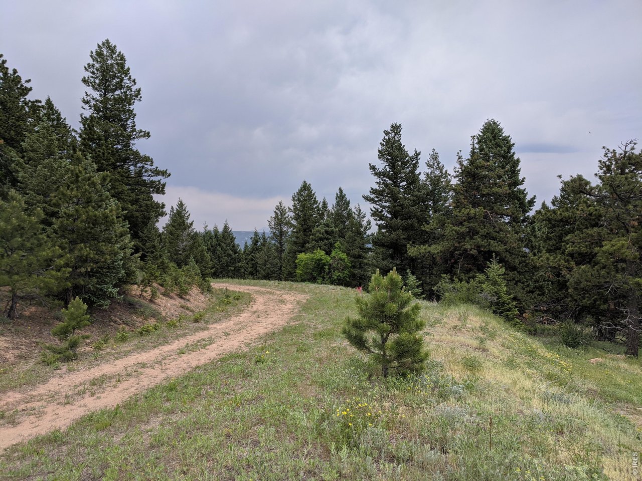 1312 Chute Road Golden, CO 80403 - Photo 10 of 35