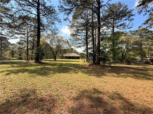 39 Rice Lane Dry Prong, LA 71423 - Photo 44 of 45 Gallery Image 44