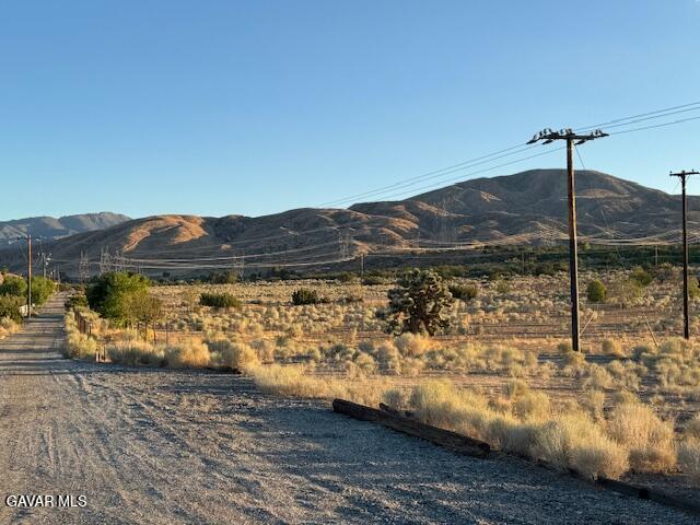 Barrel Springs Palmdale, CA 93552 - Photo 1 of 19 IMG_0318