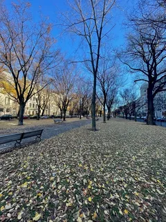 $4,800 | 416 Commonwealth Avenue, Unit 408, Boston, MA 02215