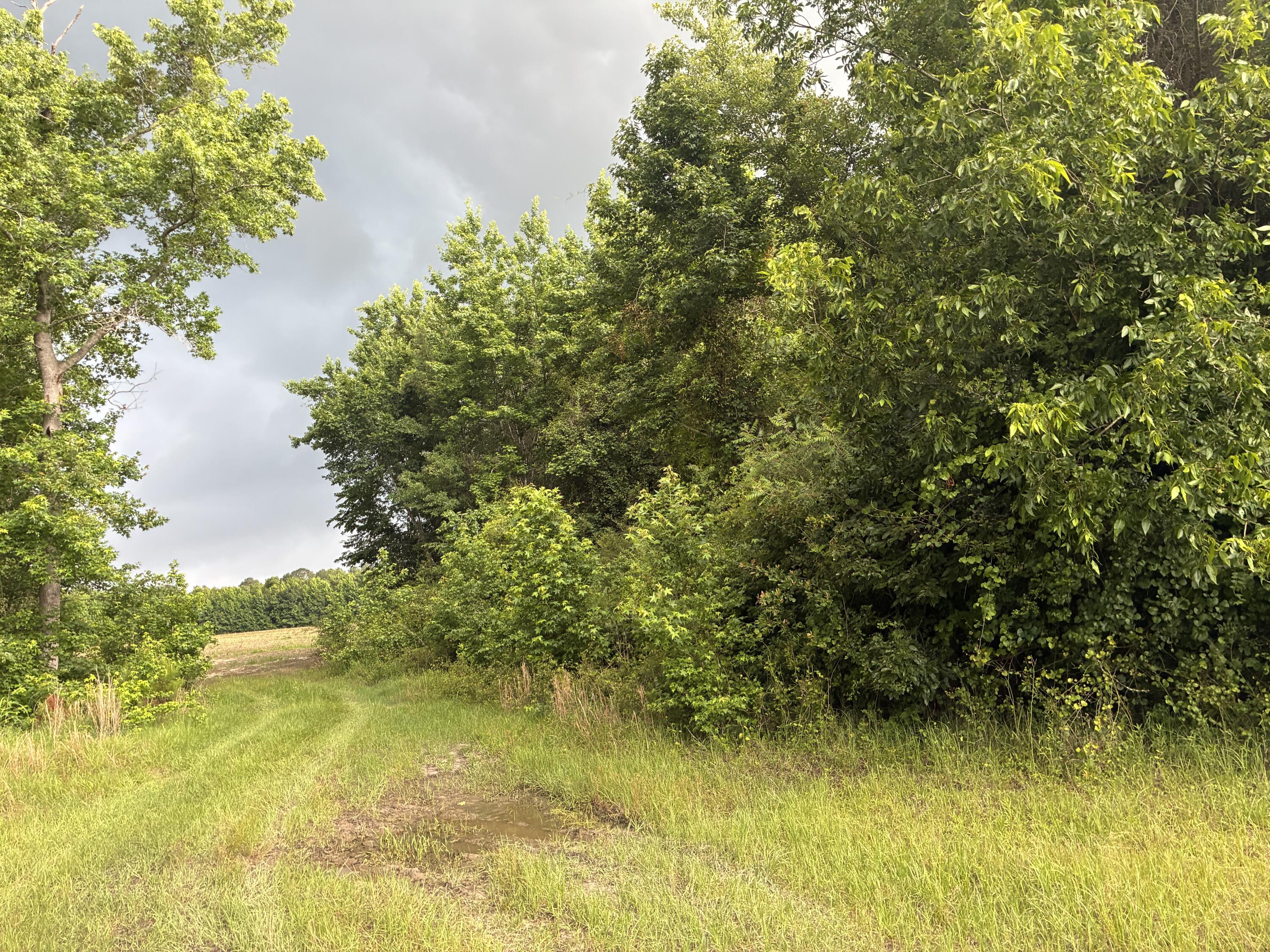 2227 Goward Road Alcolu, SC 29001 - Photo 1 of 4