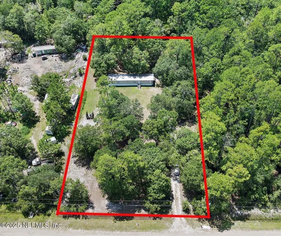 a view of a field with a tree