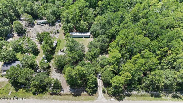 a view of a forest with a bench and trees
