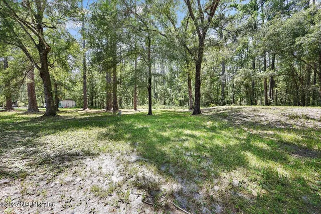 a view of a trees in front of a house