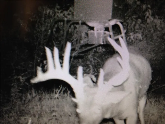 $1,116,075 | 0 West 363rd Street, Osawatomie, KS 66064