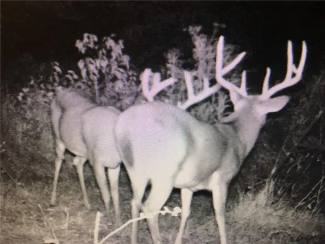 $1,116,075 | 0 West 363rd Street, Osawatomie, KS 66064