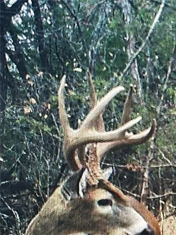 $1,116,075 | 0 West 363rd Street, Osawatomie, KS 66064