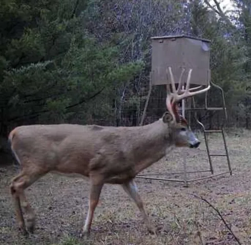 $1,116,075 | 0 West 363rd Street, Osawatomie, KS 66064