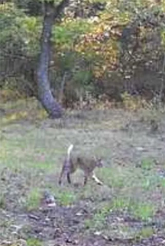 $1,116,075 | 0 West 363rd Street, Osawatomie, KS 66064