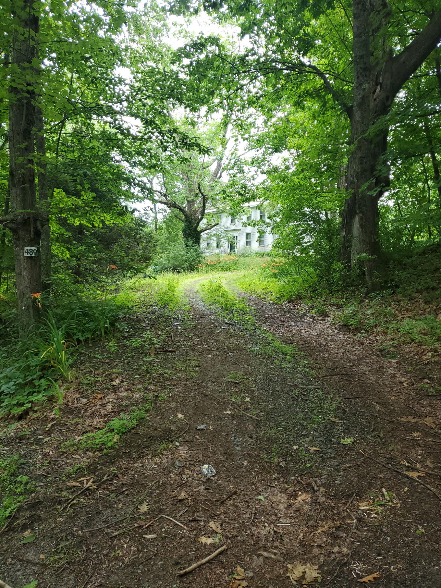 489 Back Road Skowhegan, ME 04976 - Photo 4 of 72 8517860585932168051