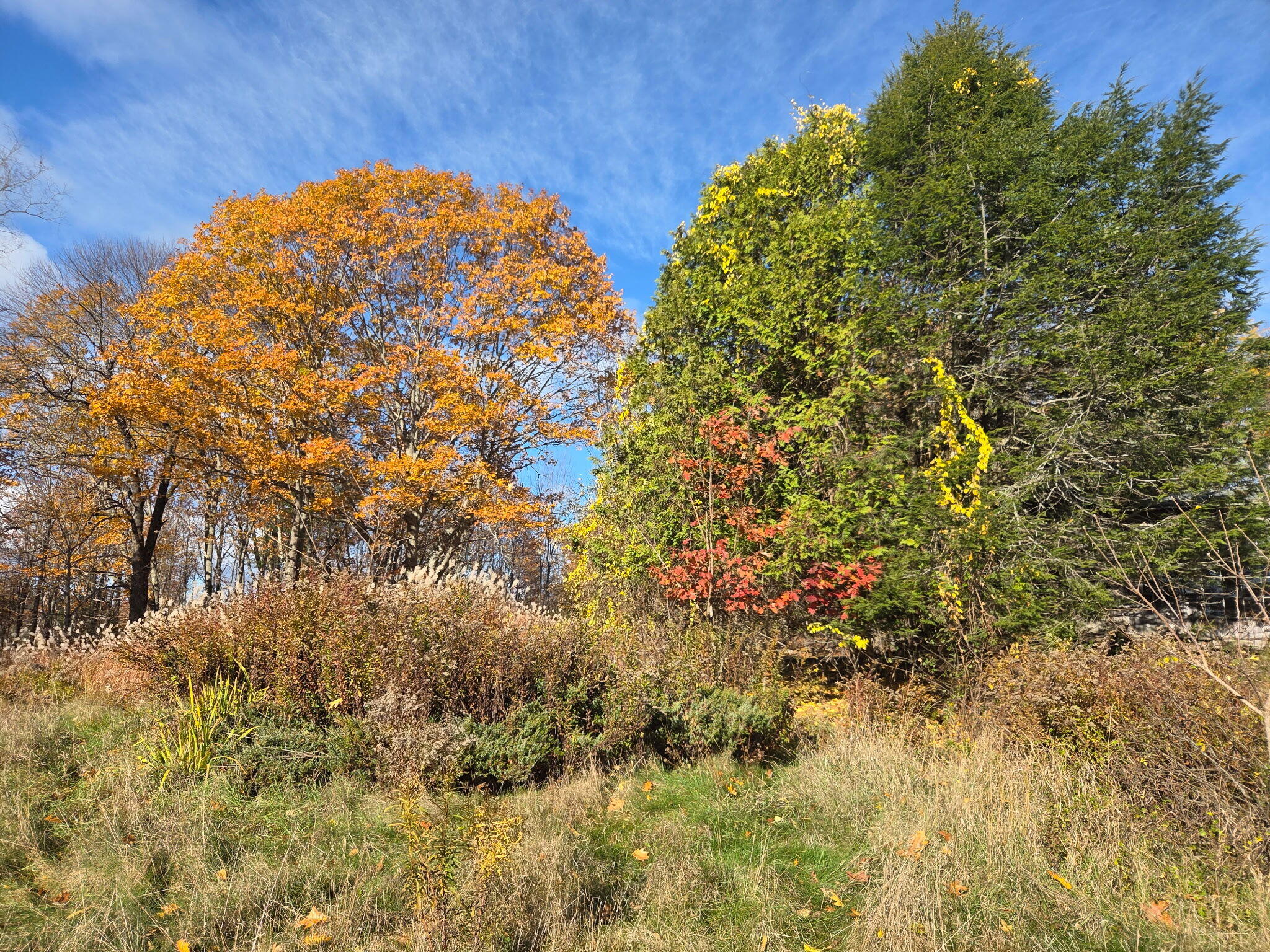 489 Back Road Skowhegan, ME 04976 - Photo 55 of 72 BCMG5965