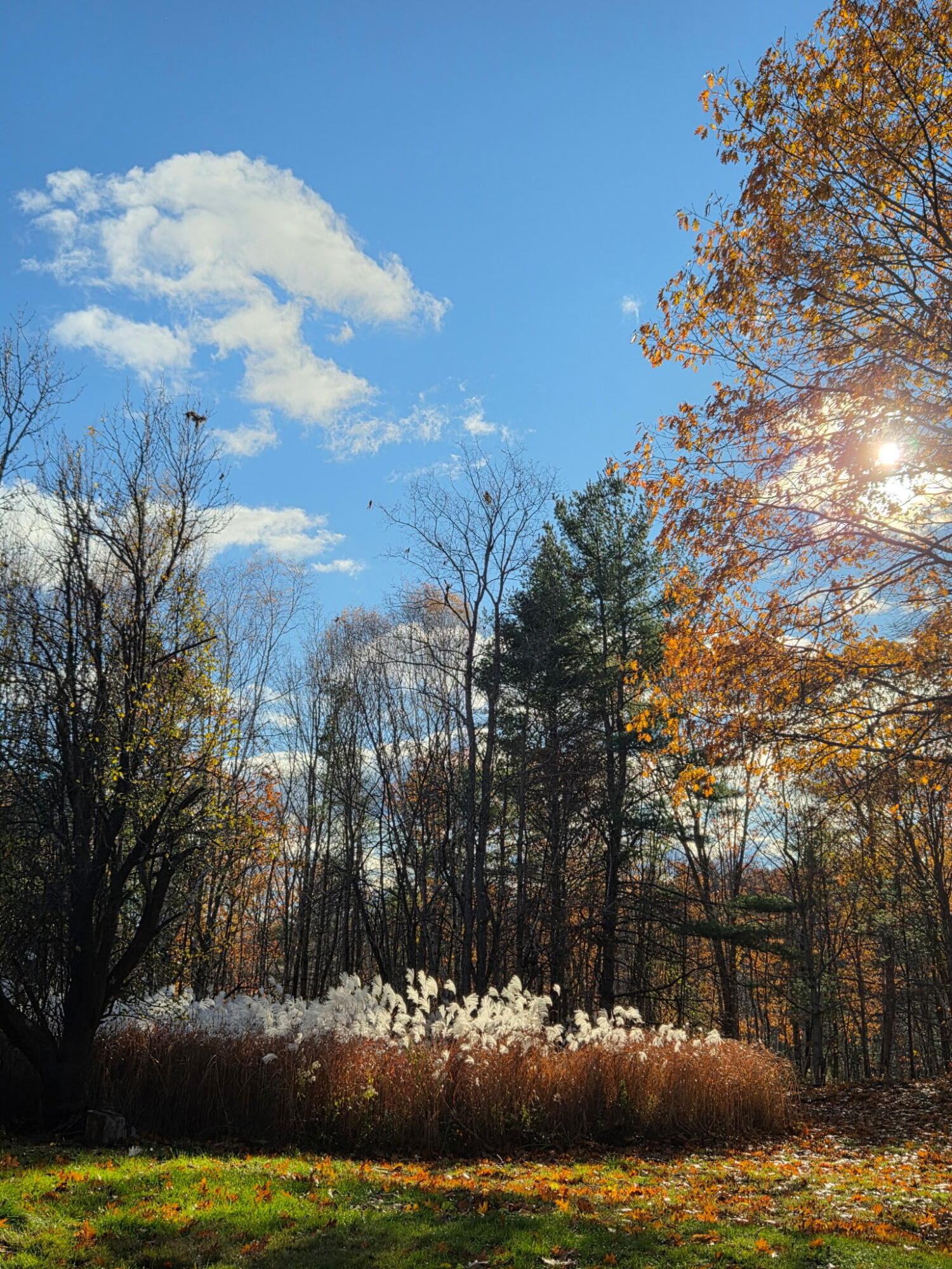 489 Back Road Skowhegan, ME 04976 - Photo 63 of 72 VYVE9681