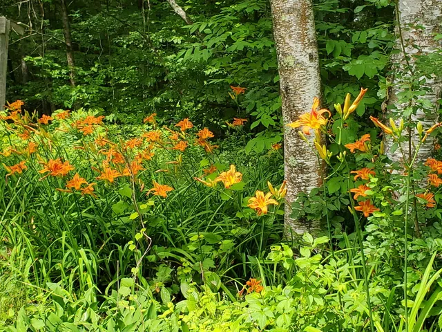 $222,600 | 489 Back Road, Skowhegan, ME 04976