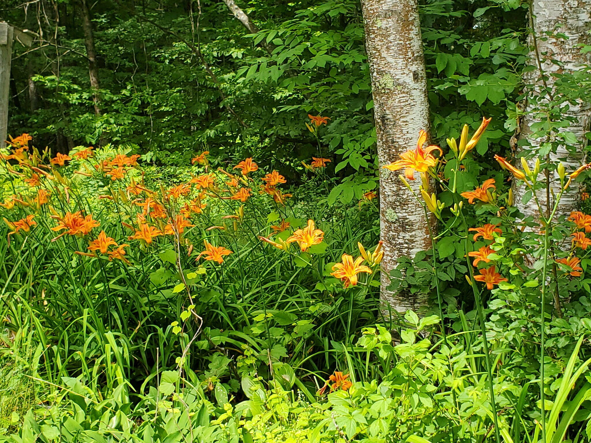 489 Back Road Skowhegan, ME 04976 - Photo 64 of 72 2678171129518142583