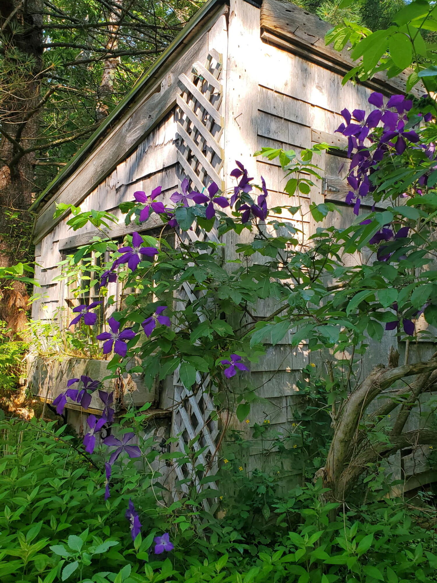 489 Back Road Skowhegan, ME 04976 - Photo 65 of 72 3040234490704258751