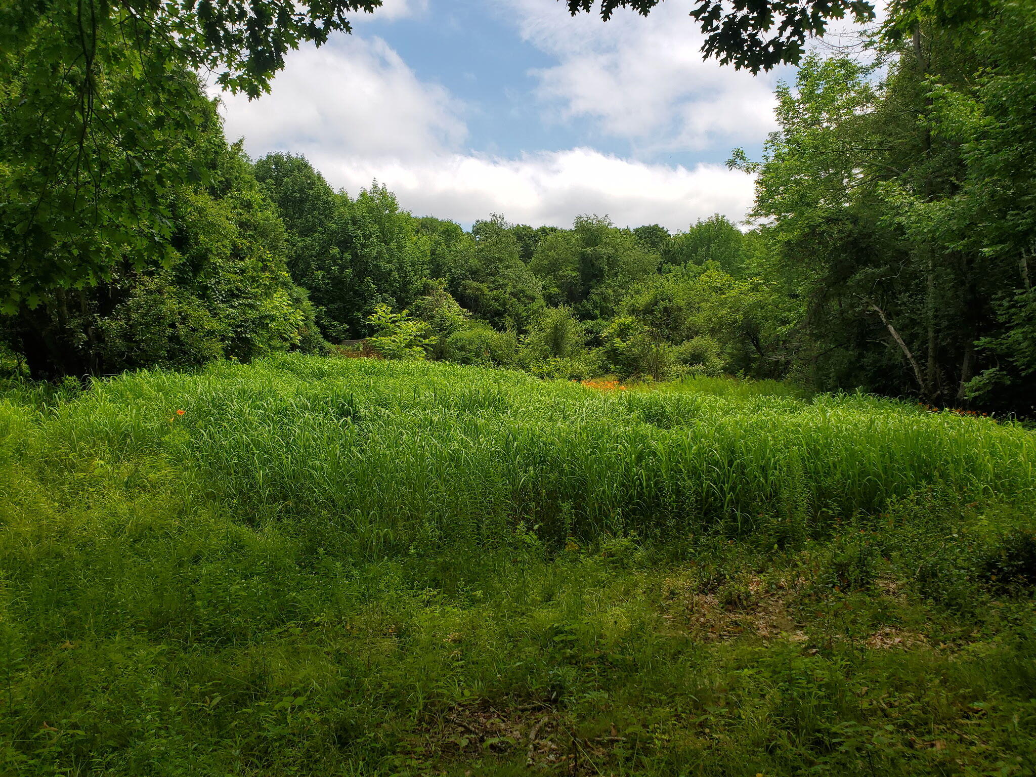 489 Back Road Skowhegan, ME 04976 - Photo 67 of 72 5584839144121605443