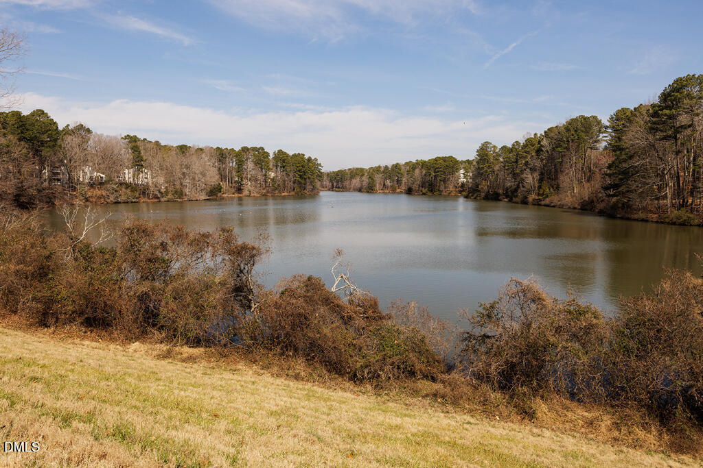 412 Oak Hollow Court Raleigh, NC 27613 - Photo 23 of 24 a view of a lake