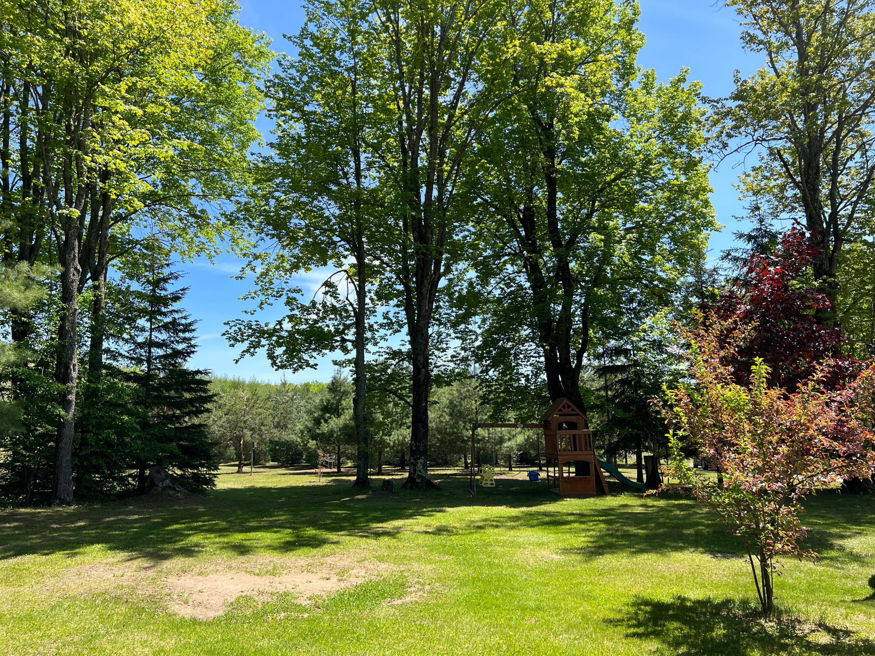 3156 Webb Road Wolverine, MI 49799 - Photo 5 of 70 Gallery Image 5