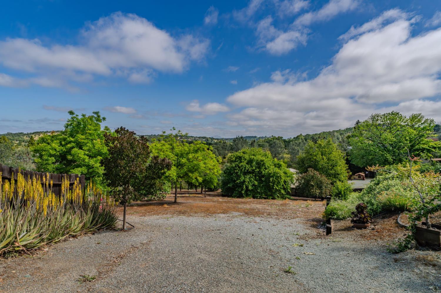 6364 Baldwin Street Valley Springs, CA 95252 - Photo 53 of 72