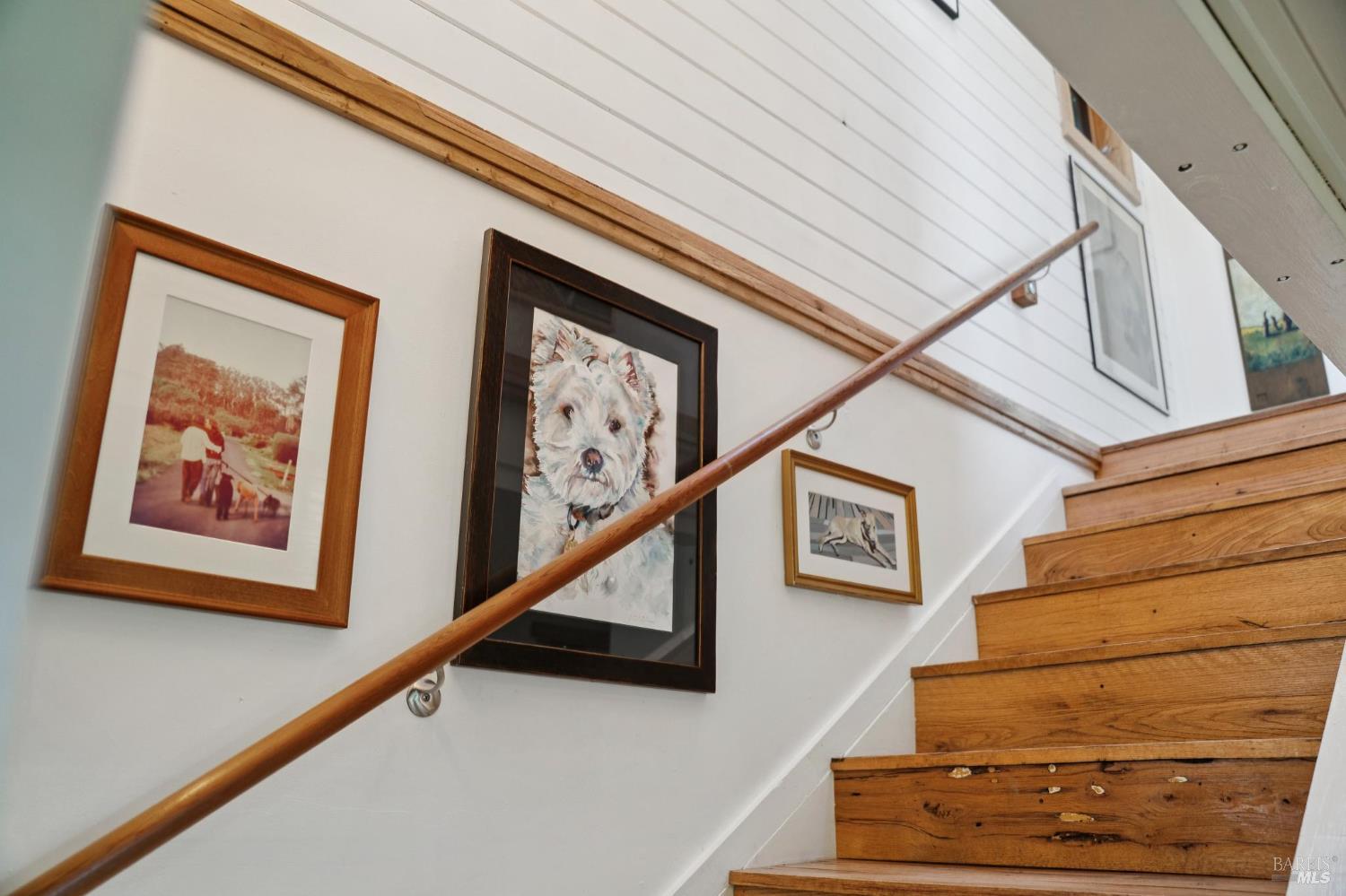 180 Maple Road Bolinas, CA 94924 - Photo 31 of 99