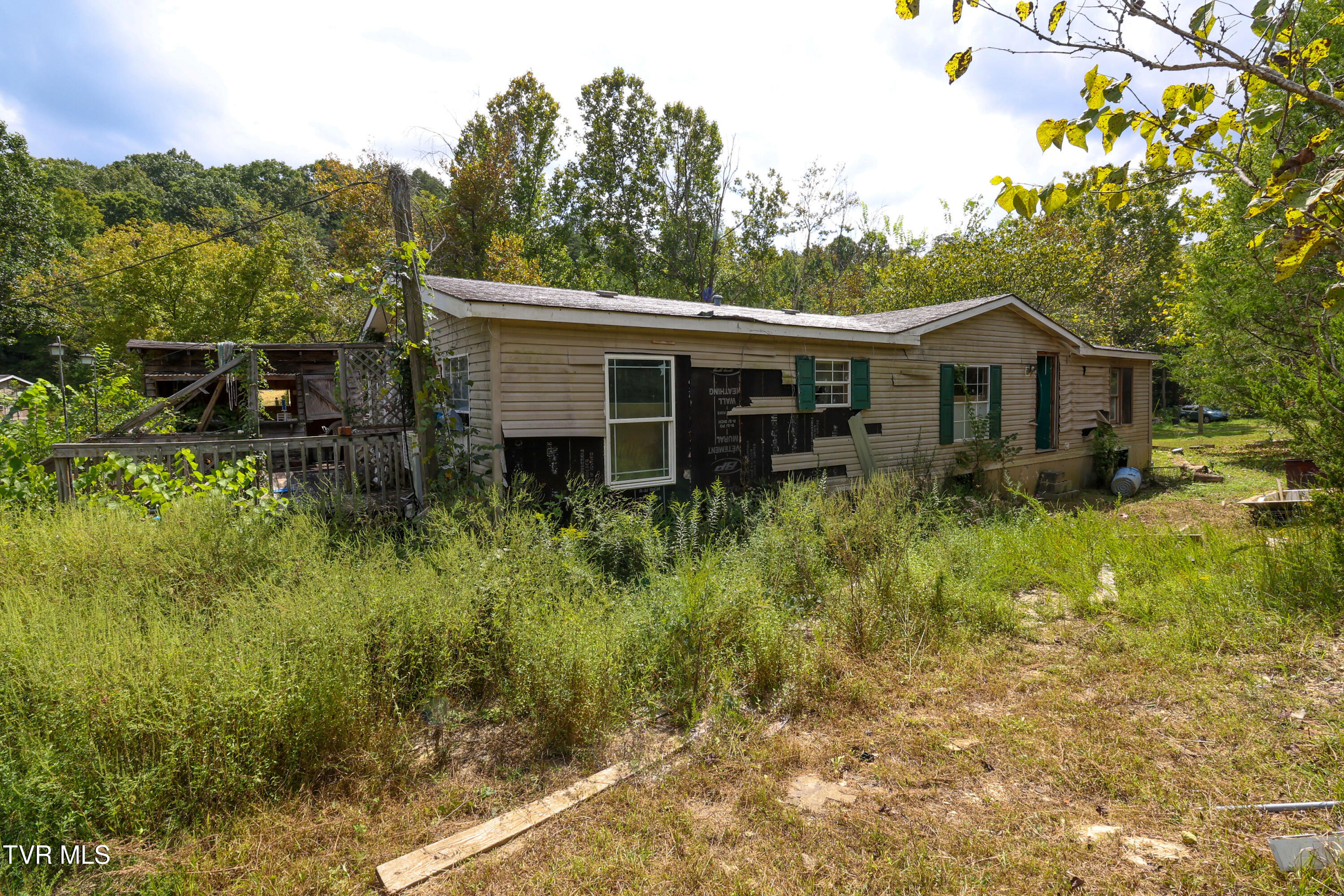 174 Coates Road Bulls Gap, TN 37711 - Photo 11 of 37 AM0A5933_1