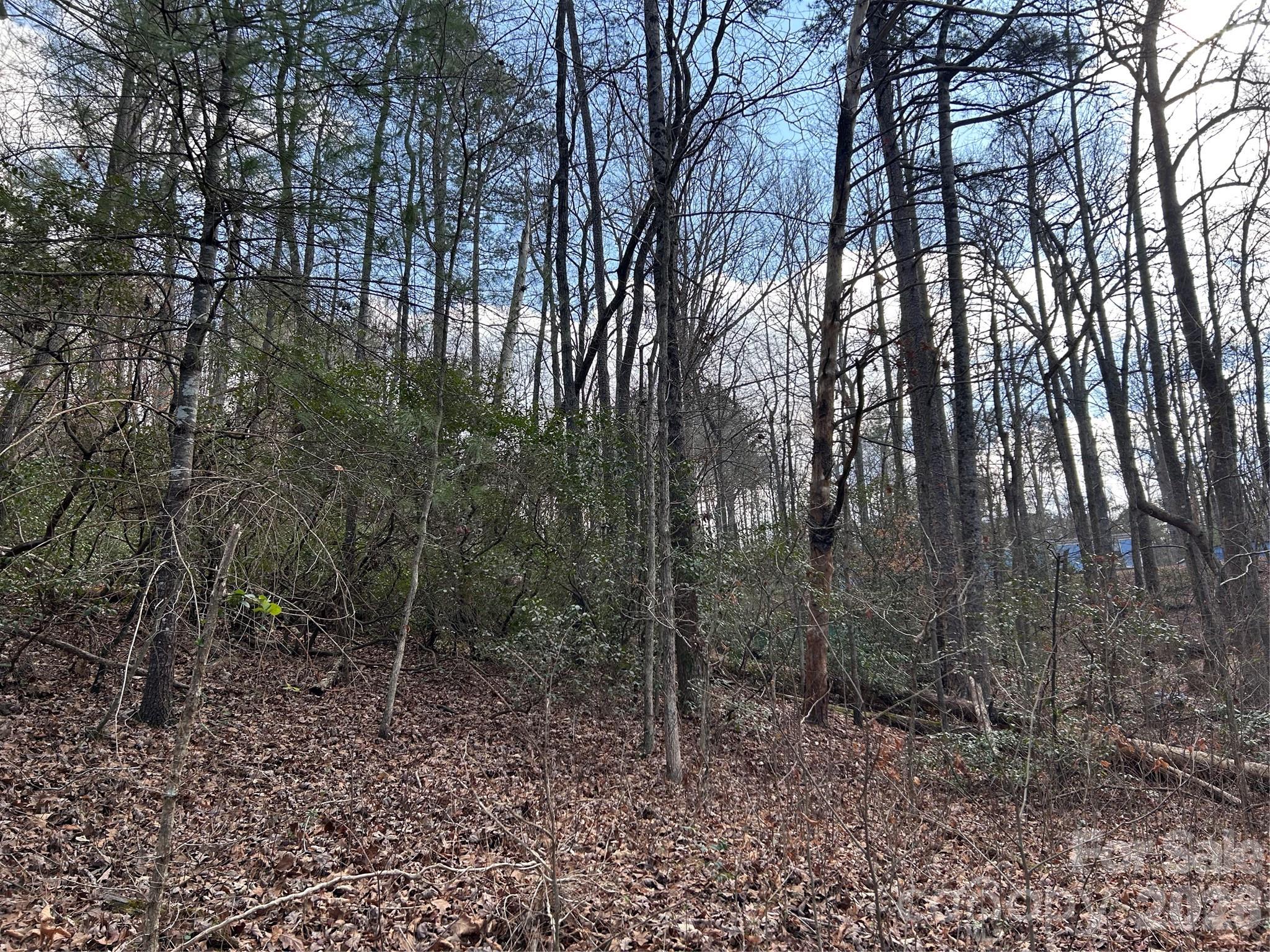 301 Burke Street Hickory, NC 28601 - Photo 11 of 12 a view of forest