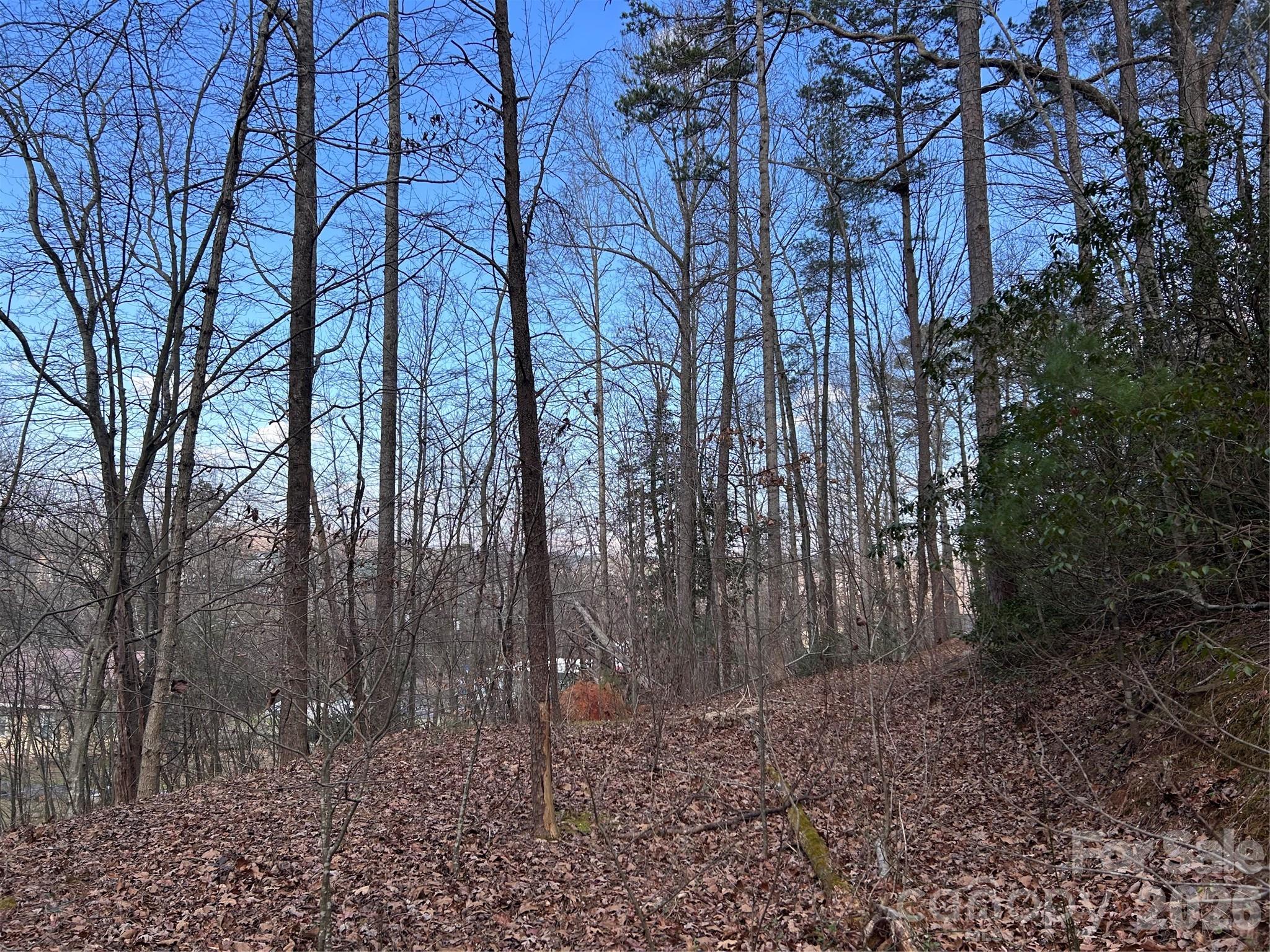 301 Burke Street Hickory, NC 28601 - Photo 12 of 12 a backyard of a house with lots of green space