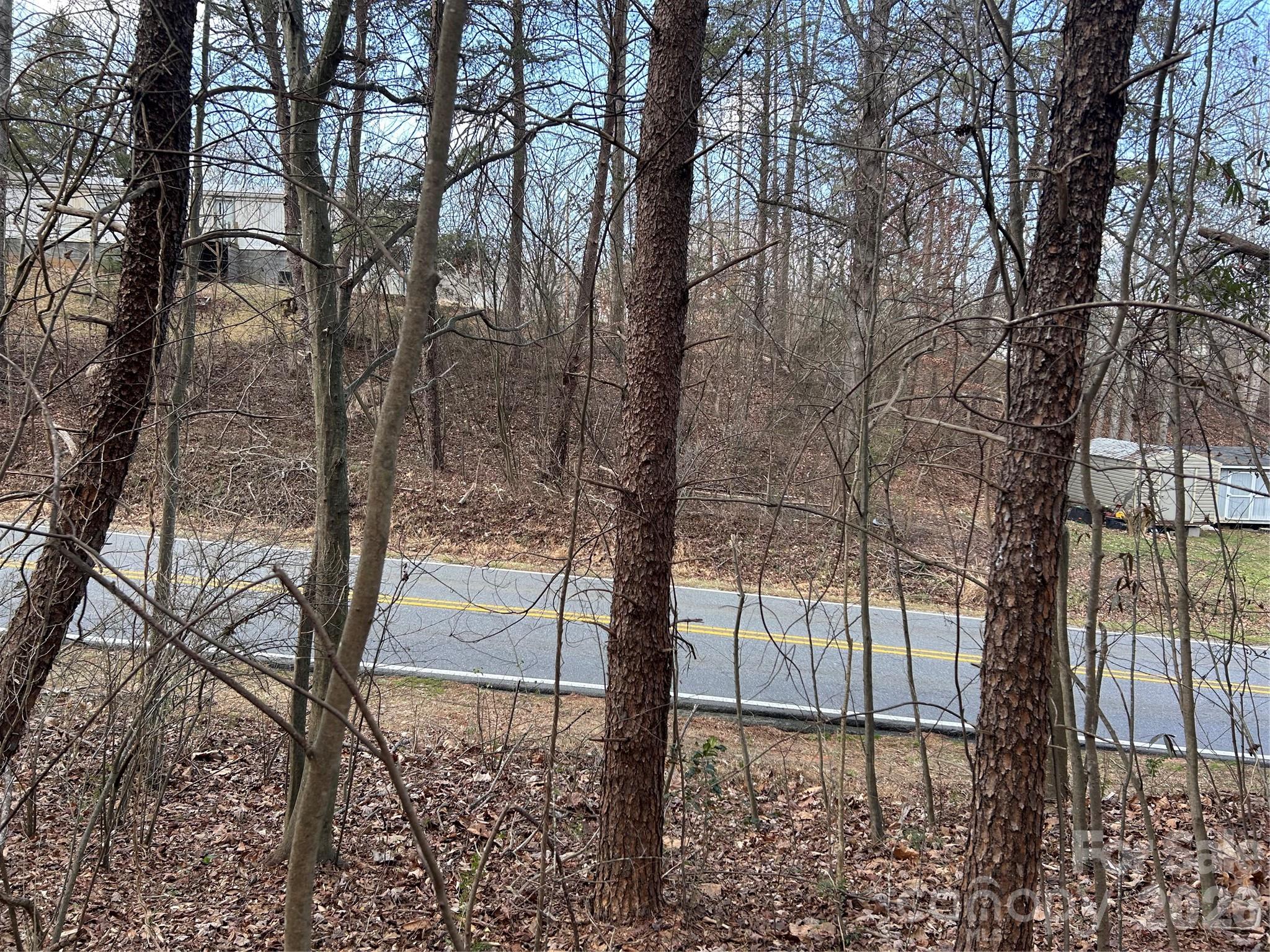 301 Burke Street Hickory, NC 28601 - Photo 7 of 12 a view of a yard with large trees