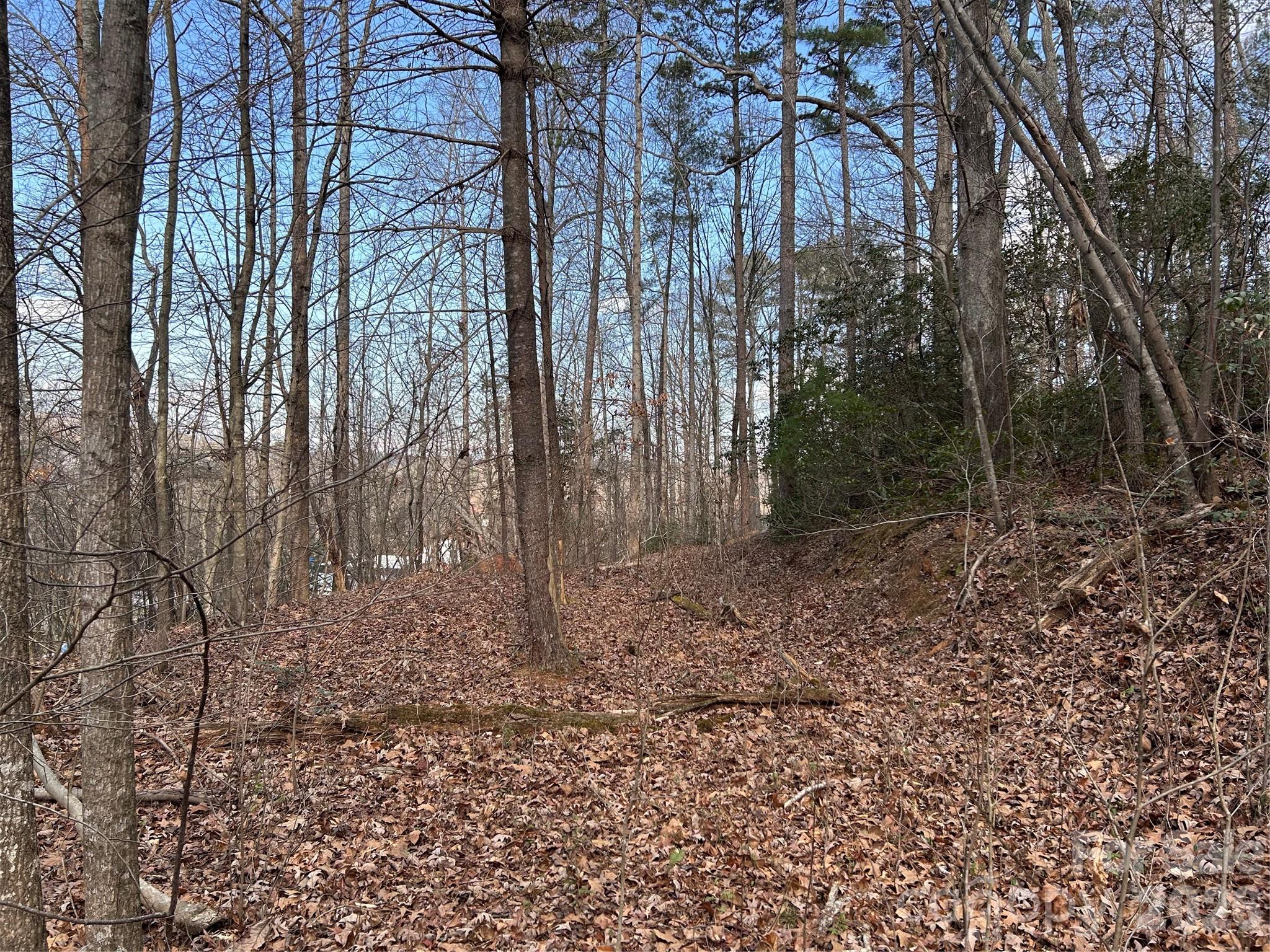 301 Burke Street Hickory, NC 28601 - Photo 8 of 12 a view of backyard with green space