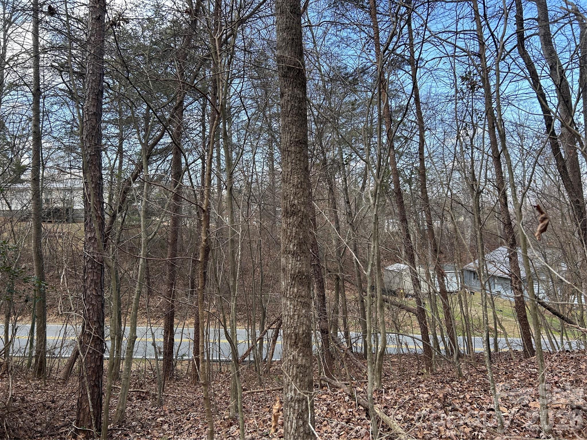 301 Burke Street Hickory, NC 28601 - Photo 10 of 12