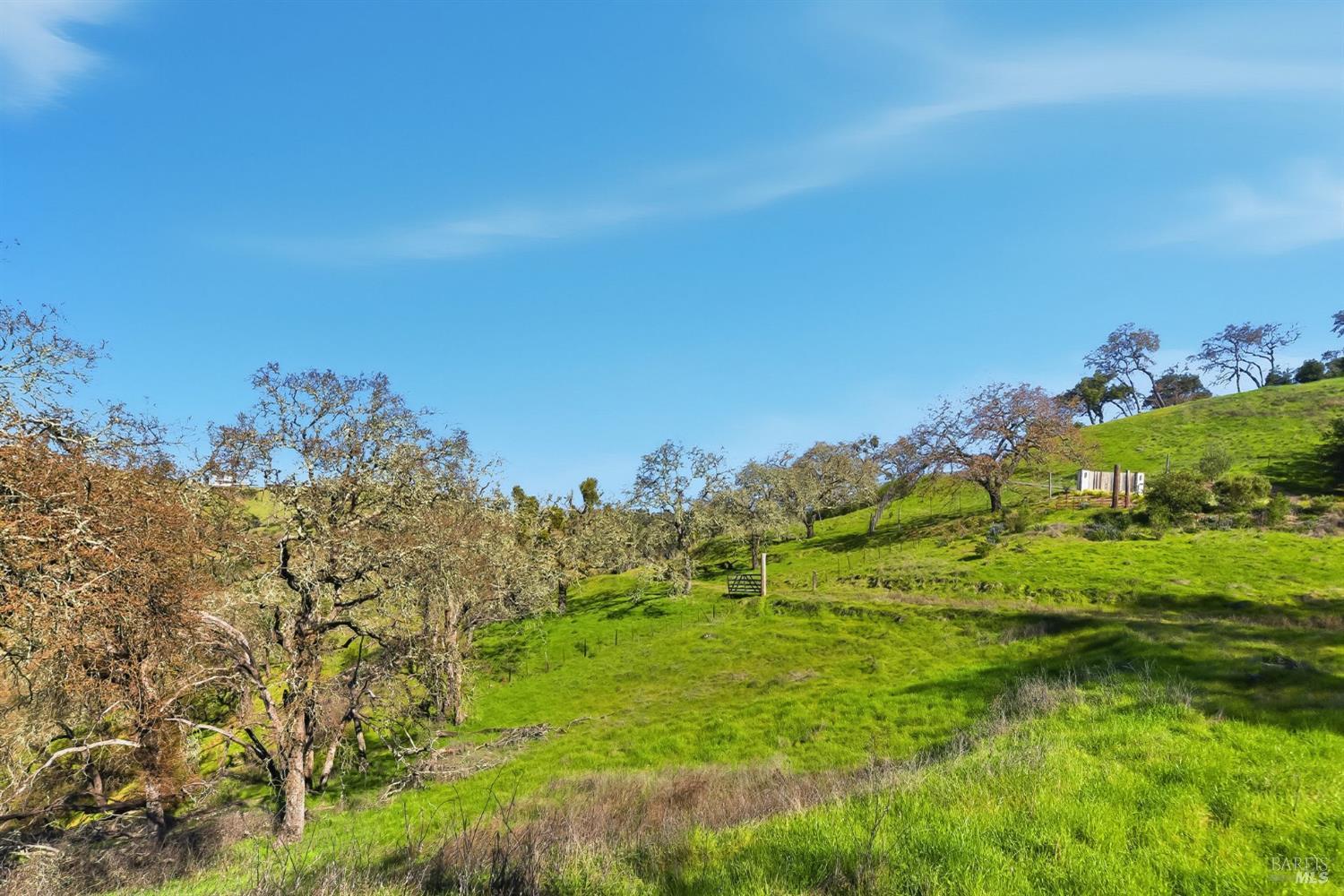 1477 Leslie Road Healdsburg, CA 95448 - Photo 25 of 40 a view of a big yard