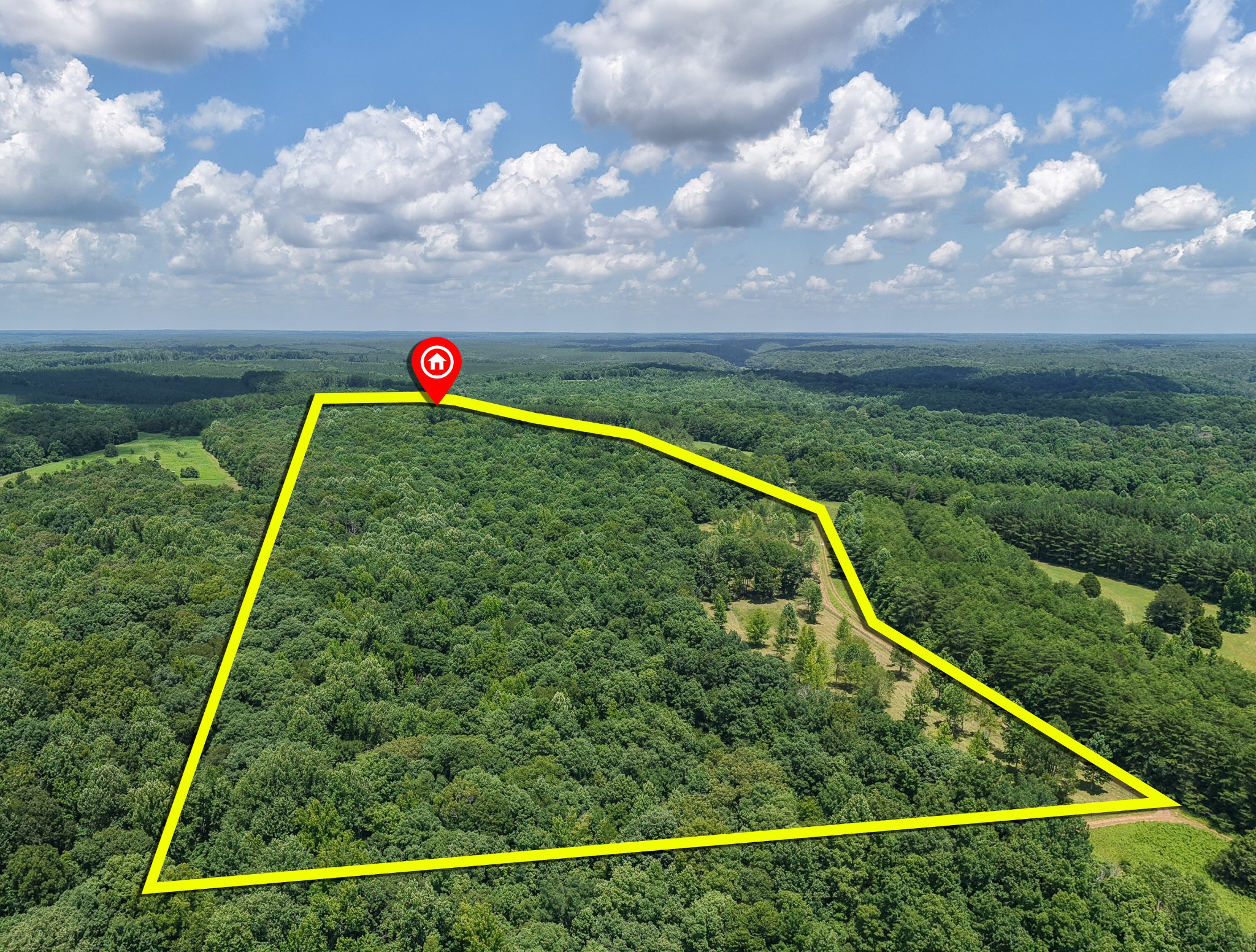 2200 Little Texas Road Goodspring, TN 38460 - Photo 5 of 61