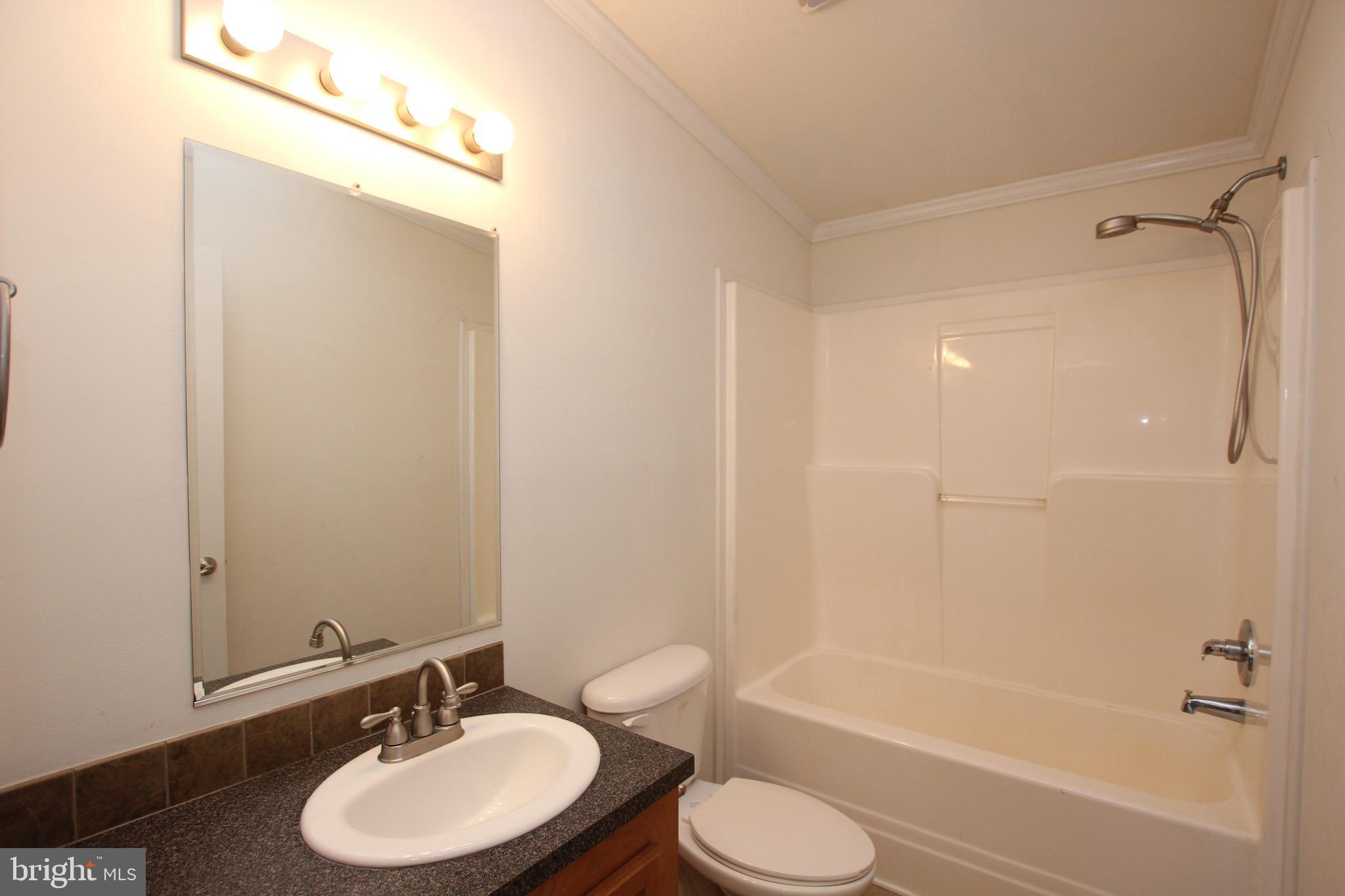 12841 Sycamore Road Laurel, DE 19956 - Photo 14 of 19 Full Bath