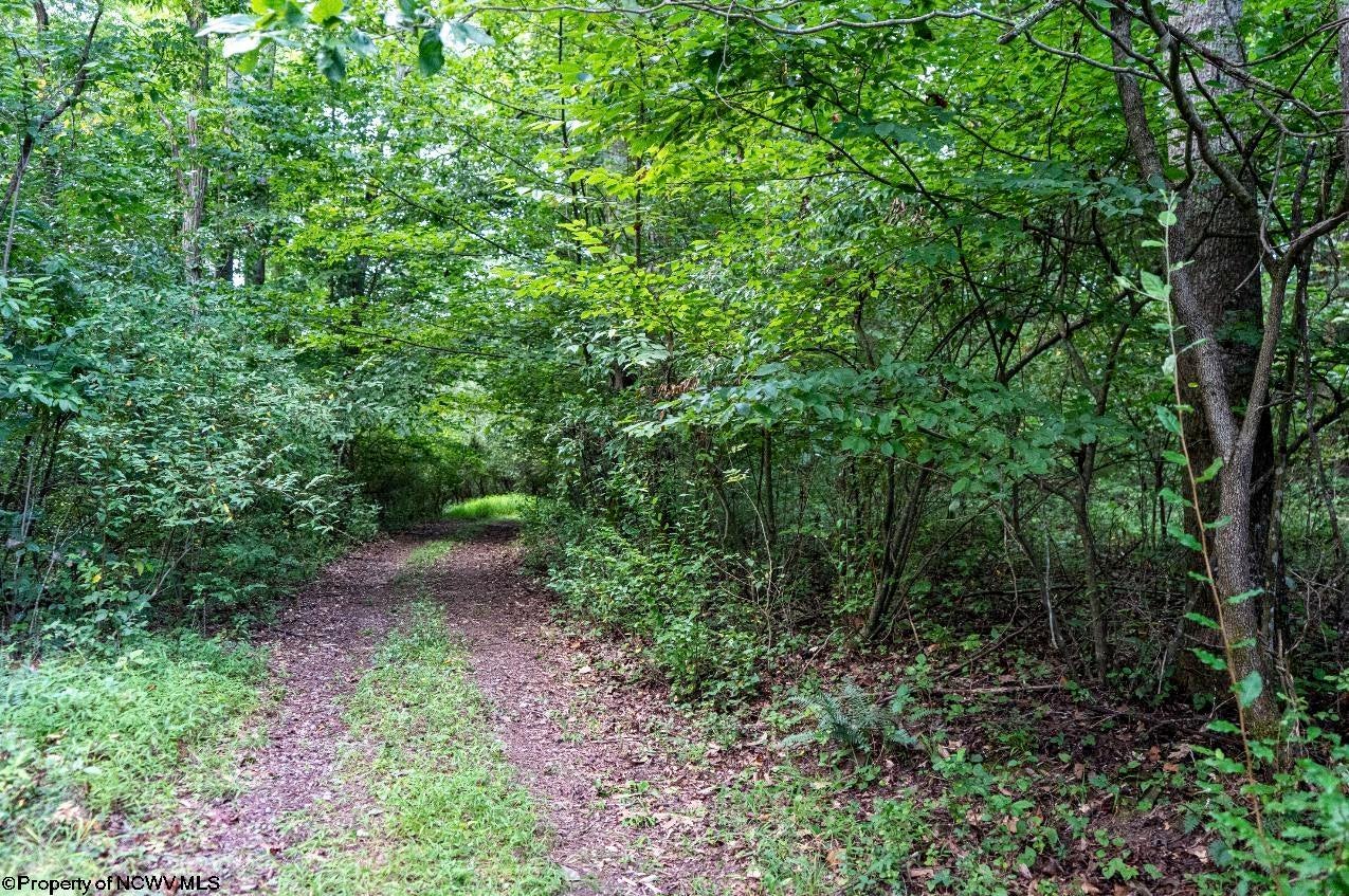 Tbd Highland Bridge Road Clarksburg, WV 26301 - Photo 6 of 21 Gallery Image 6
