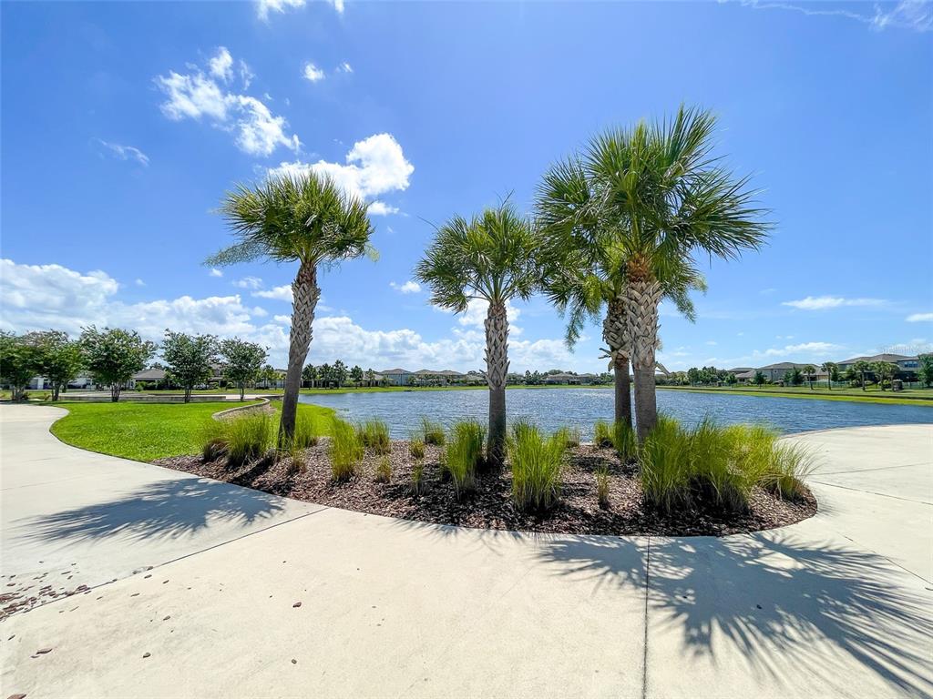 13910 Galway Sand Road Riverview, FL 33579 - Photo 42 of 42