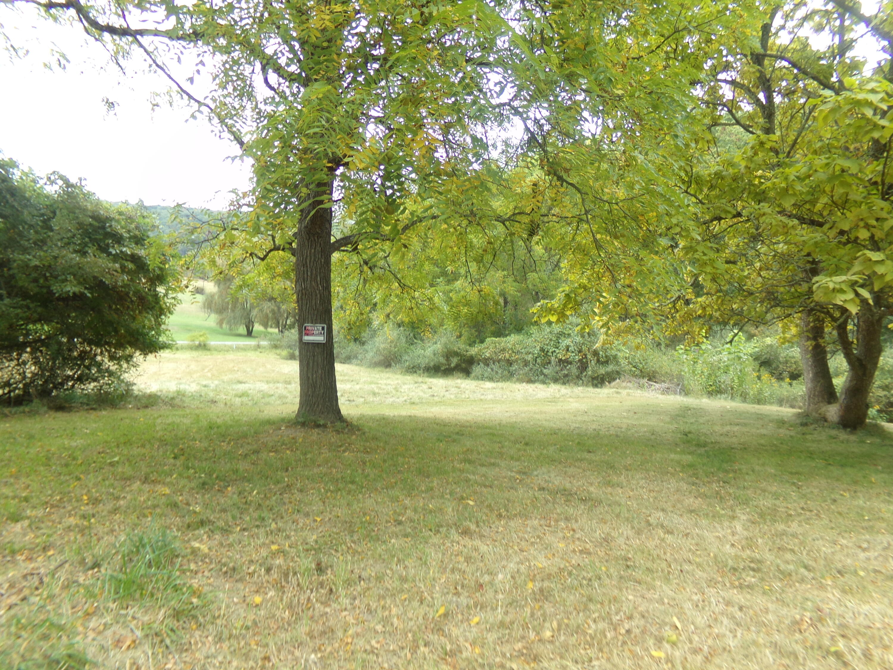 8124 Knobs Road Union, WV 24983 - Photo 22 of 23 Gallery Image 22