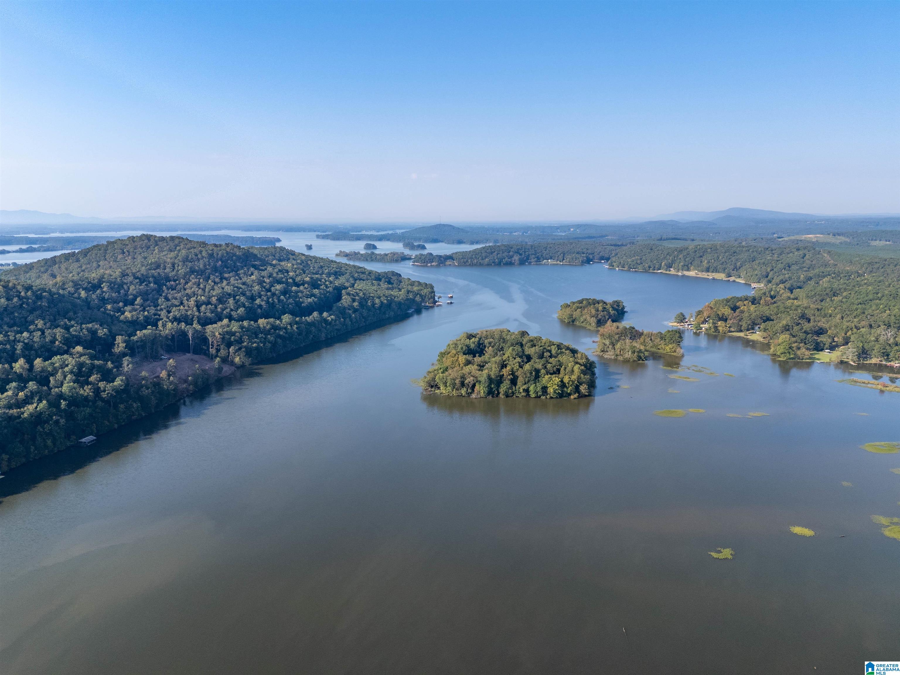 10 County Road, Unit 10 Cedar Bluff, AL 35959 - Photo 11 of 13