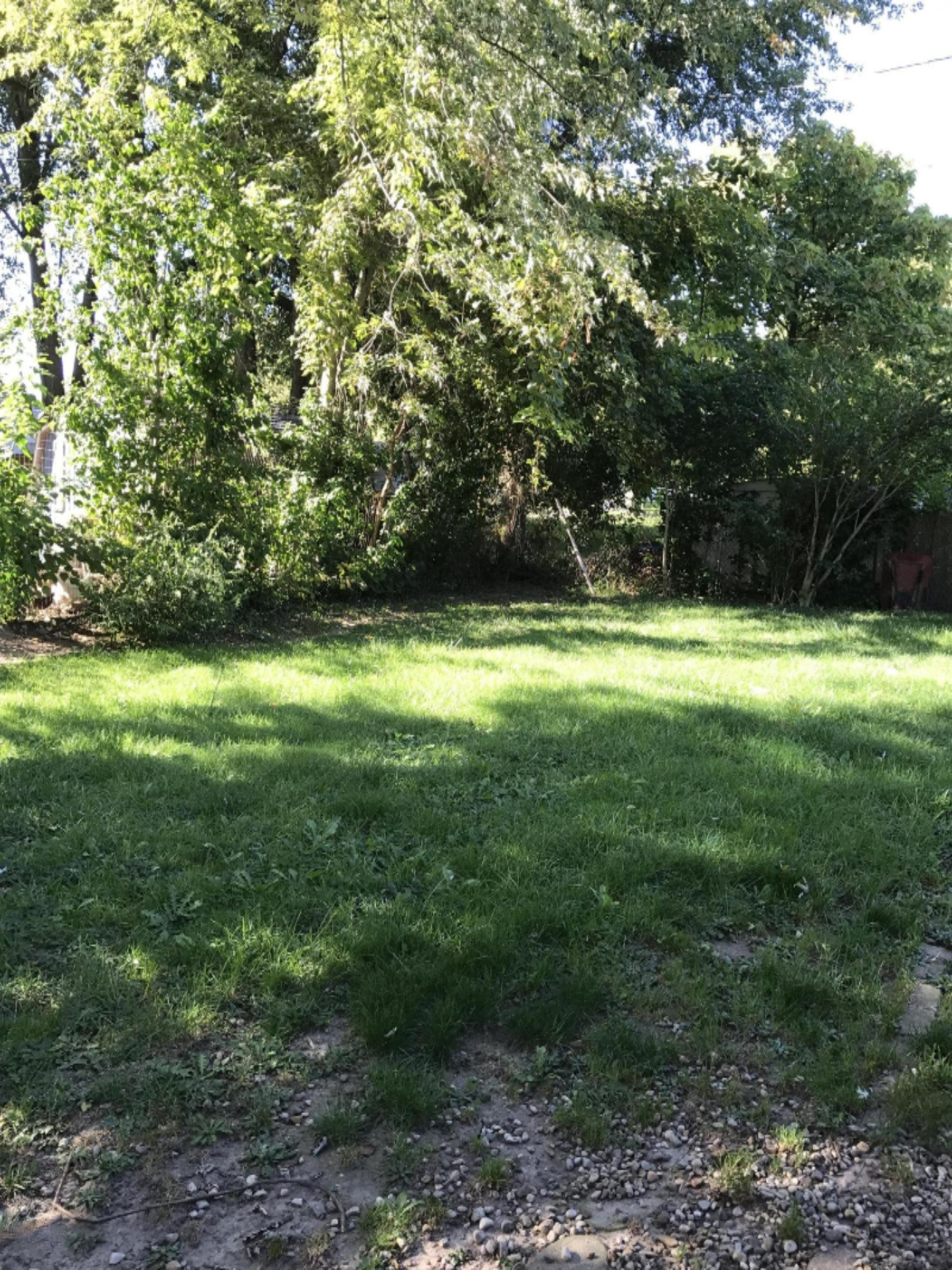 5988 Johnson Road Coloma, MI 49038 - Photo 13 of 13 Backyard 2