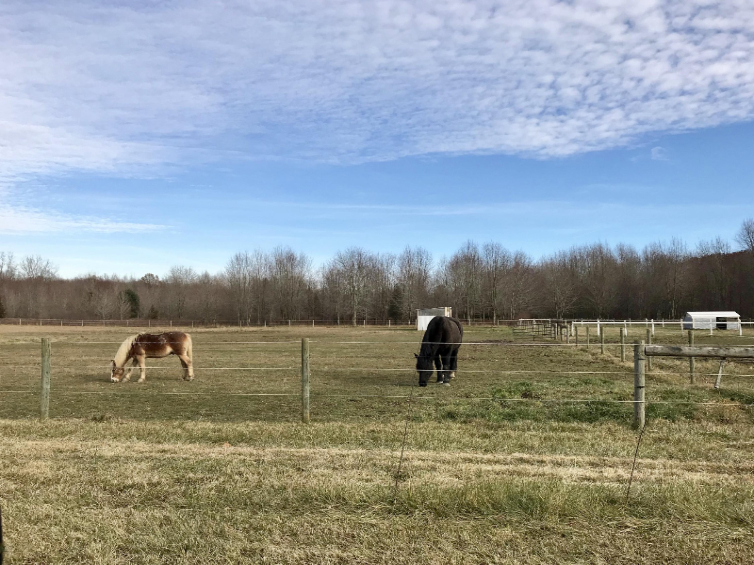 5988 Johnson Road Coloma, MI 49038 - Photo 2 of 13 View from front