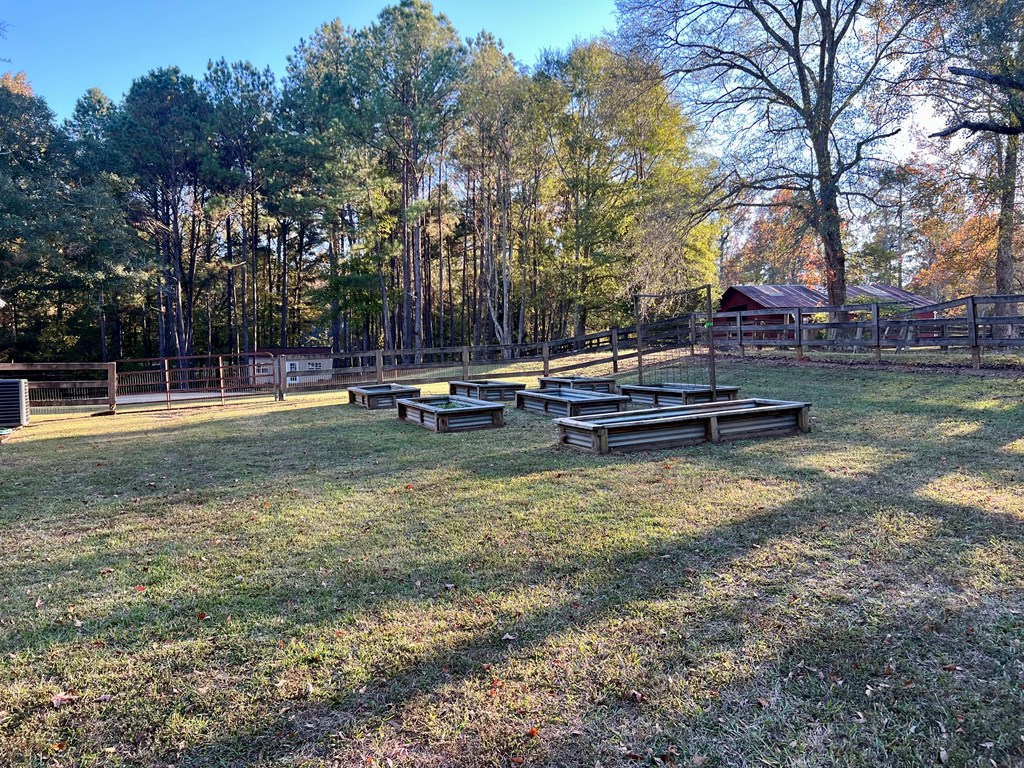 10543 County Line Road Midland, GA 31820 - Photo 24 of 32 Gallery Image 24