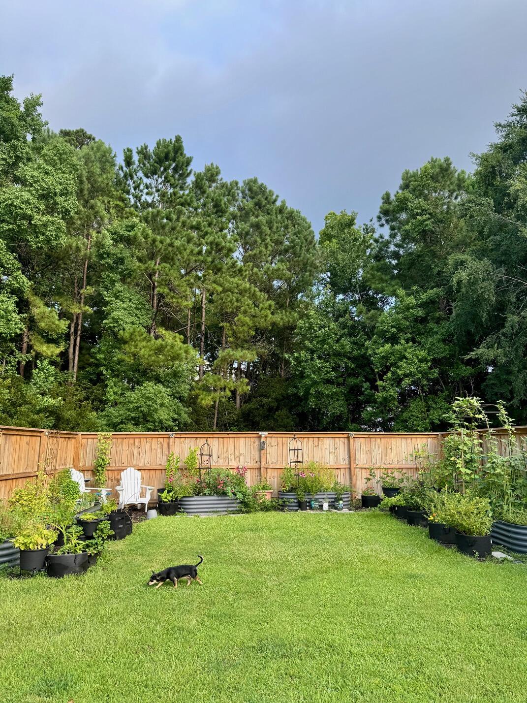 3172 Queensgate Way Mount Pleasant, SC 29466 - Photo 42 of 55 IMG_7450