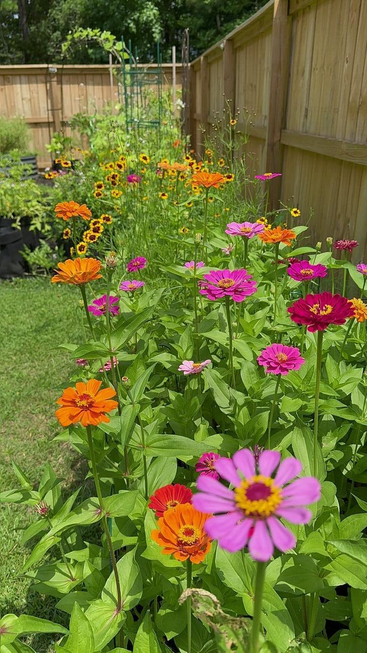 3172 Queensgate Way Mount Pleasant, SC 29466 - Photo 44 of 55 IMG_6064