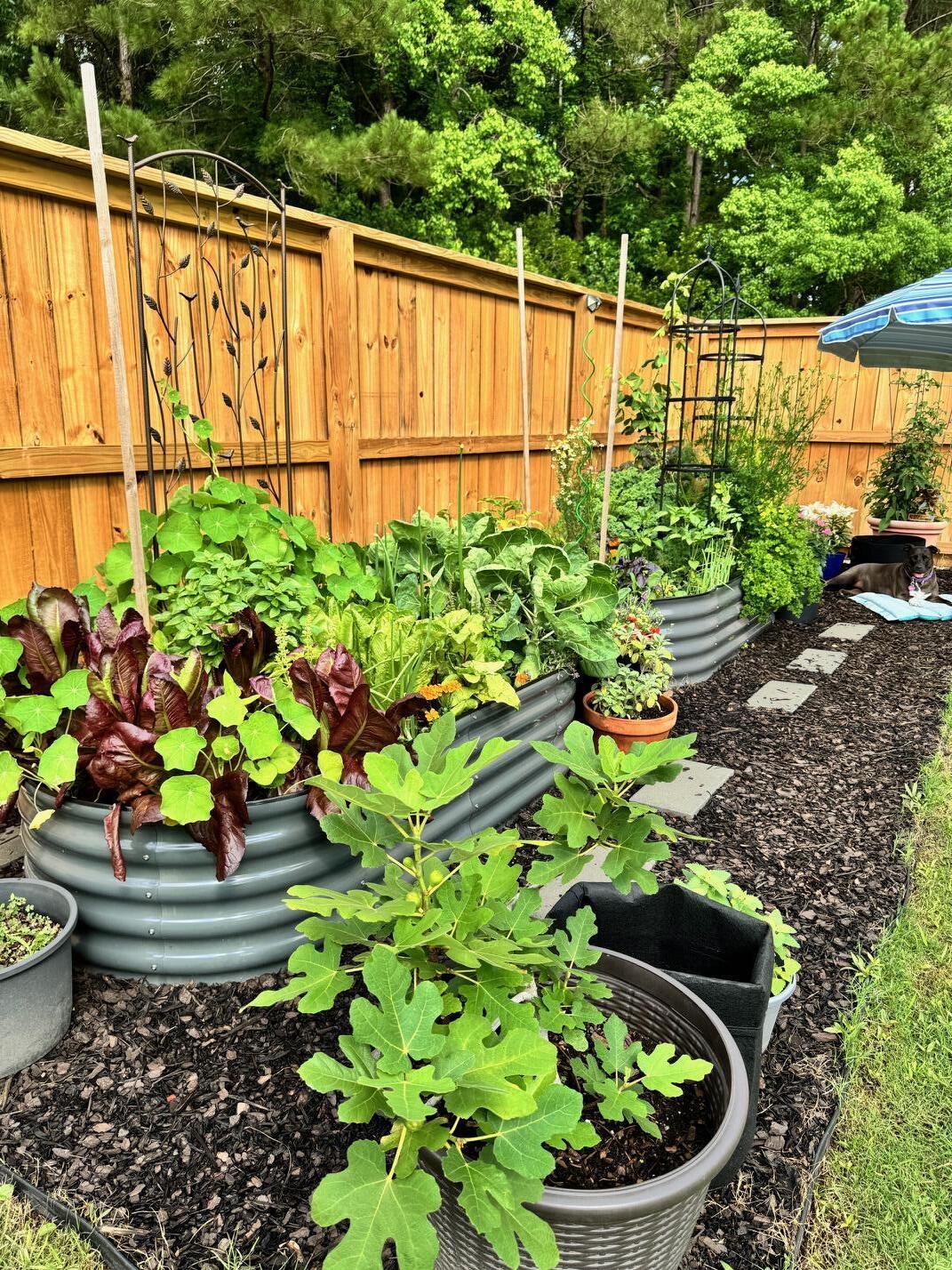 3172 Queensgate Way Mount Pleasant, SC 29466 - Photo 45 of 55 IMG_5305