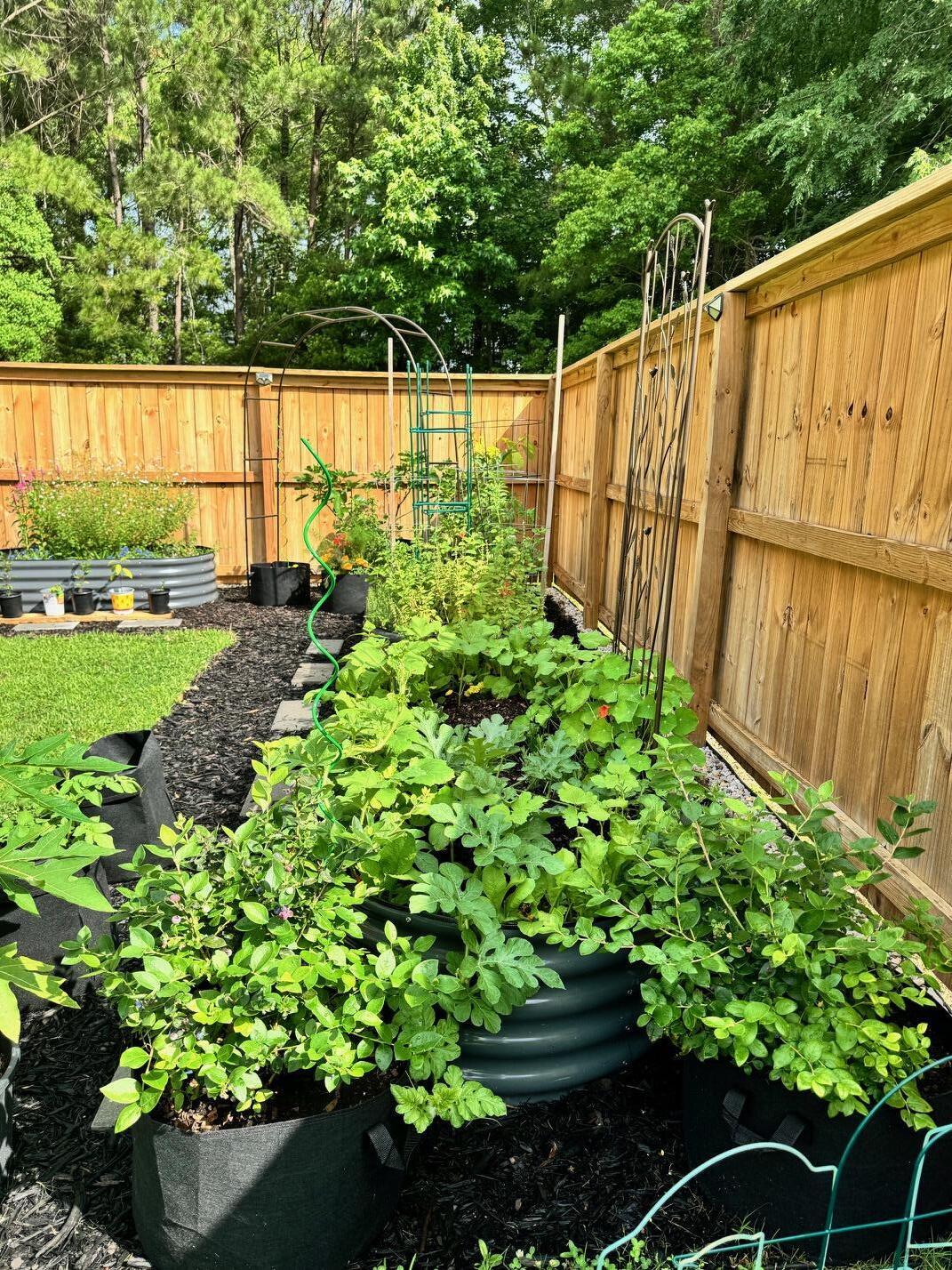 3172 Queensgate Way Mount Pleasant, SC 29466 - Photo 46 of 55 IMG_5303