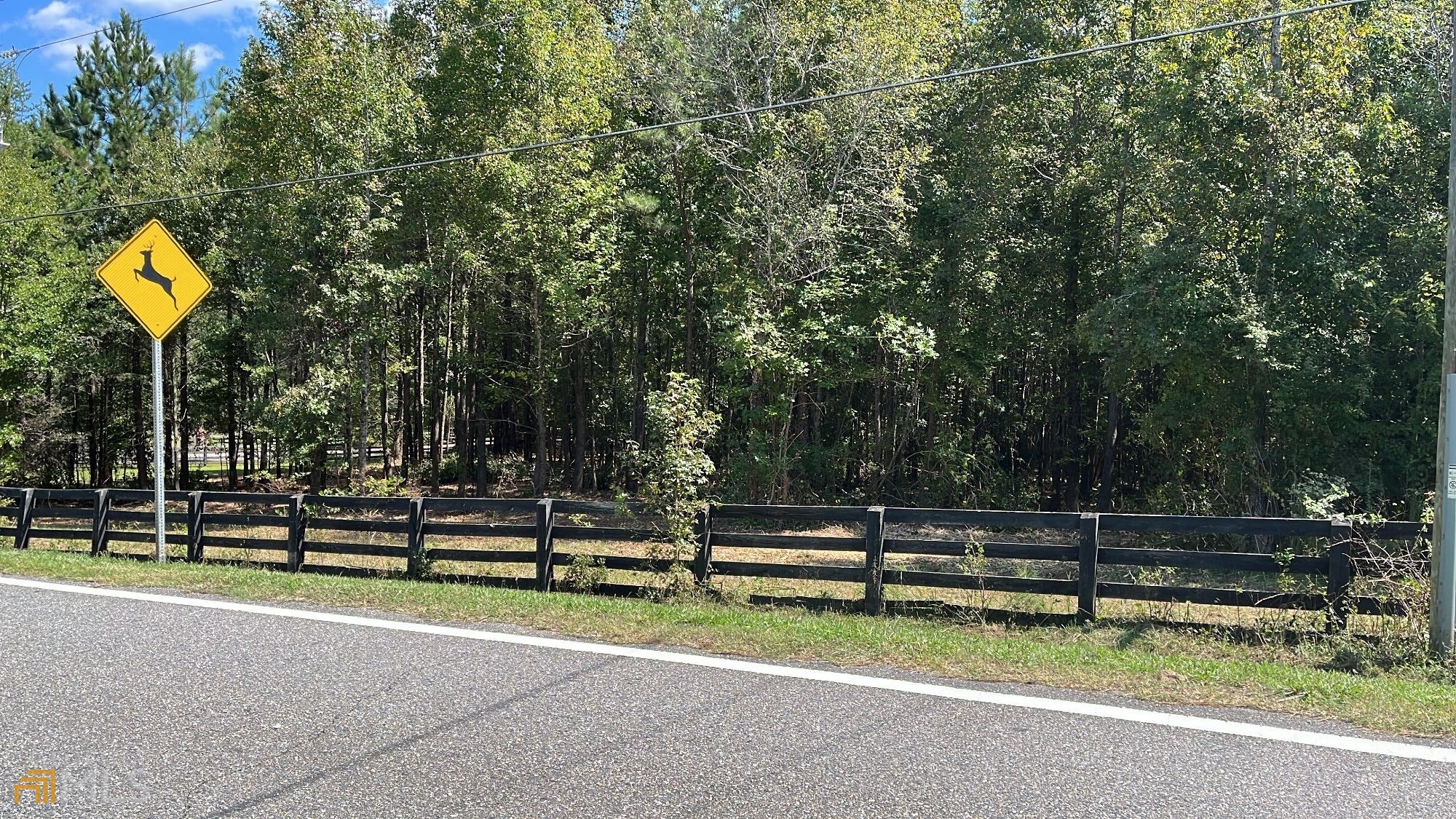 a view of park and entertaining space